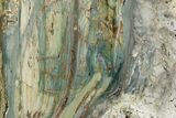 Freestanding Gary Green Jasper (Larsonite) Bog Wood - Oregon #377805-1